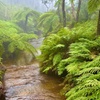 Image 10: Best of Sydney and Blue Mountains 2 Days Luxury Private tour