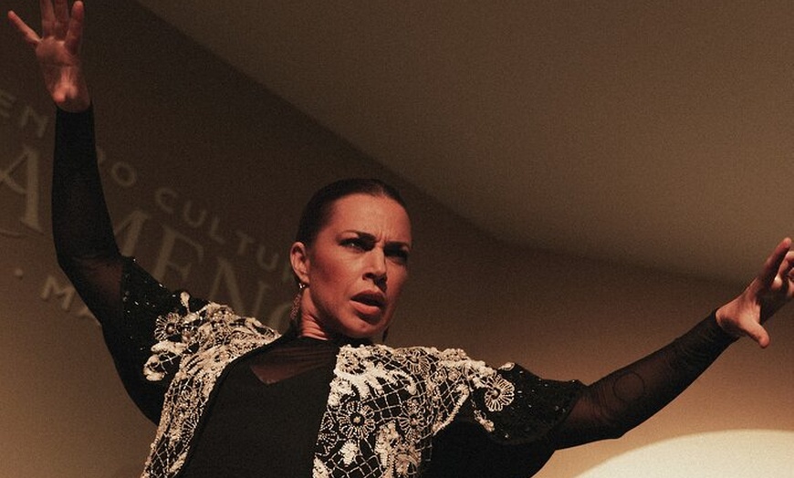 Image 9: Entrada al Centro Cultural Flamenco de Madrid