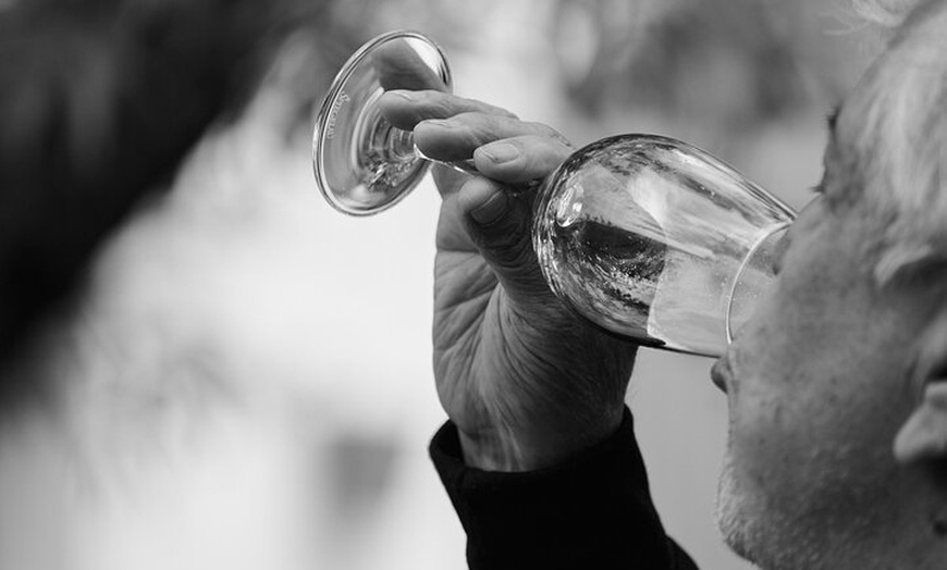 Image 2: Visita nuestra Bodega Artesanal en Segovia