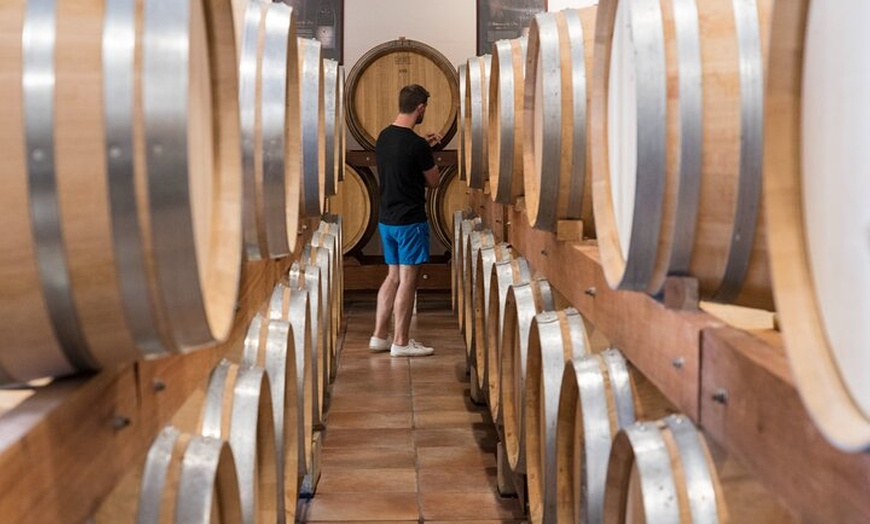 Image 6: Rosé & Côtes DE Provence Visite des vins au départ de Marseille