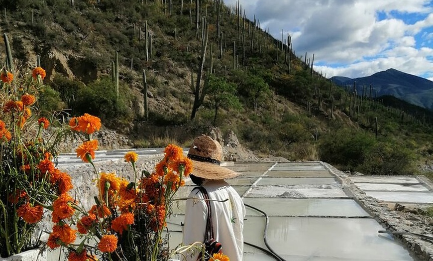 Image 4: From Puebla: Private Tour to Tehuacán Biosphere Reserve + mezcal