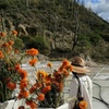 Image 4: From Puebla: Private Tour to Tehuacán Biosphere Reserve + mezcal