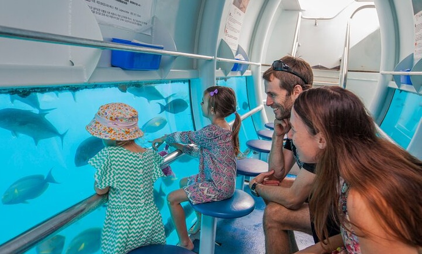 Image 7: Sunlover Reef Cruises Cairns Great Barrier Reef Experience