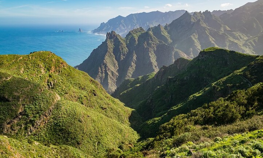 Image 6: Desde Costa Adeje o Santa Cruz: Tour Contrastes de Tenerife