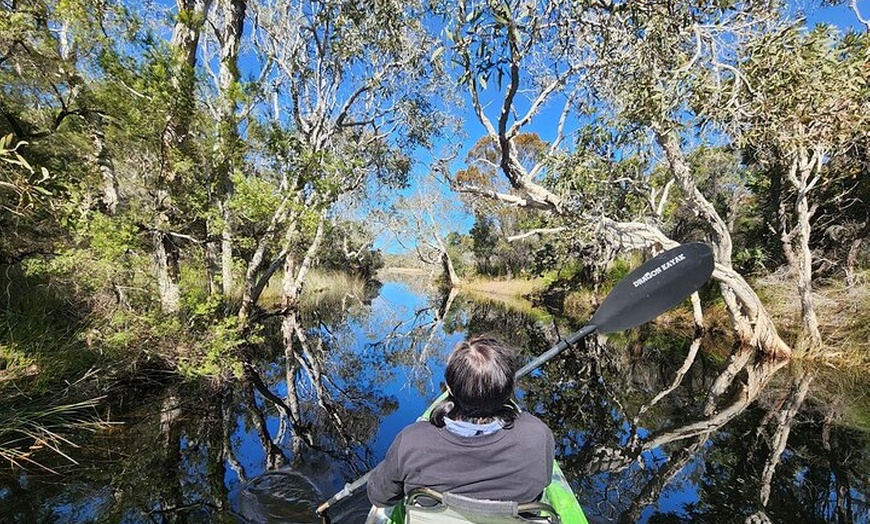 Image 3: Bribie Island 4WD Kayak and WWII Bunker Tour