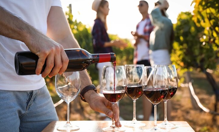 Image 3: Visite des Vins de Bordeaux Les Graves Pessac Leognan