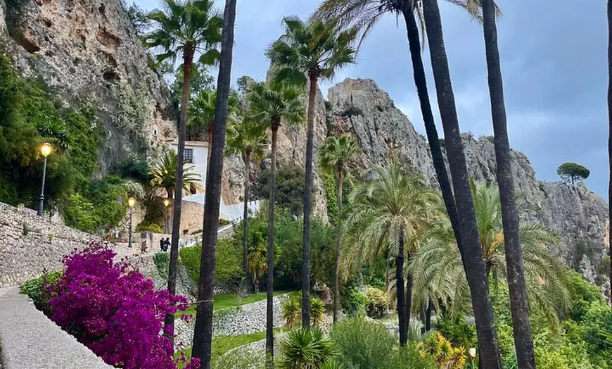 Image 9: Tu Tour Privado en Van Por La Costa Blanca
