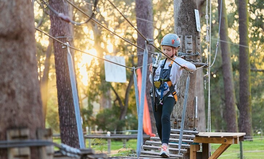 Image 14: Forest Adventures