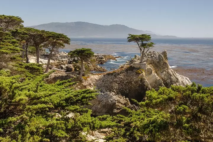 Monterey, Carmel and 17-Mile Drive: Full Day Tour from SF