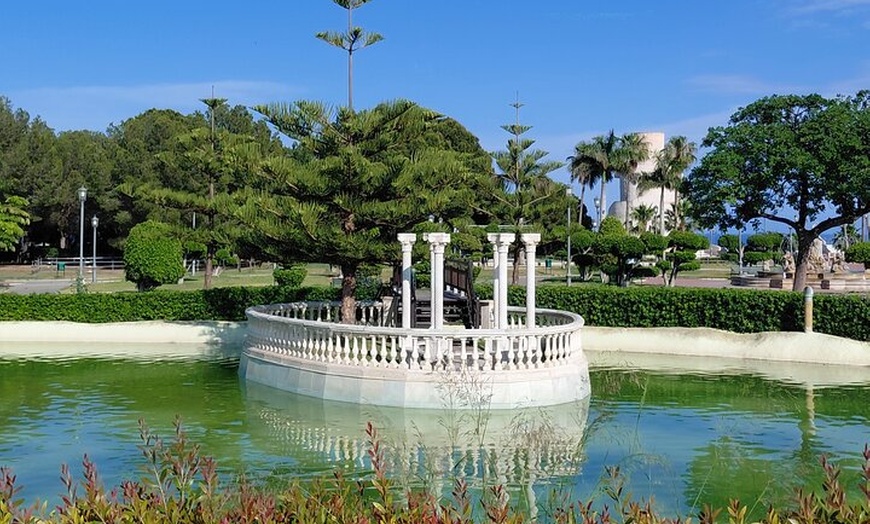 Image 8: Caza del carroñero autoguiado en Torremolinos