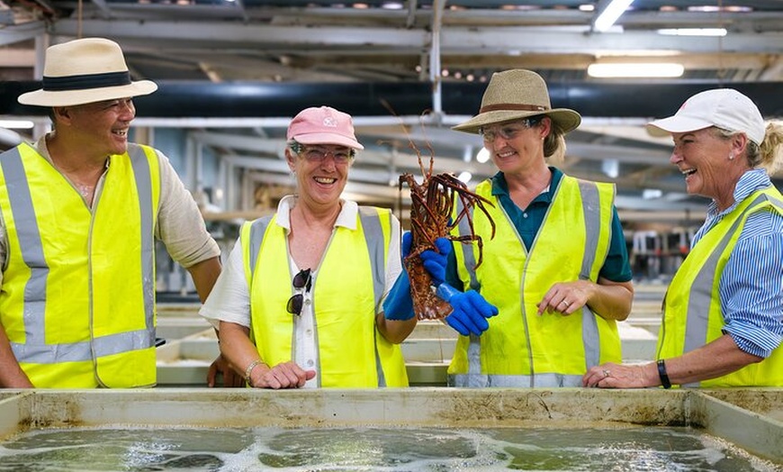 Image 2: Behind-The-Scenes Ocean Harvest Tour