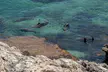Rottnest Island Seals Sunset and West End Bus Tour - Image 3