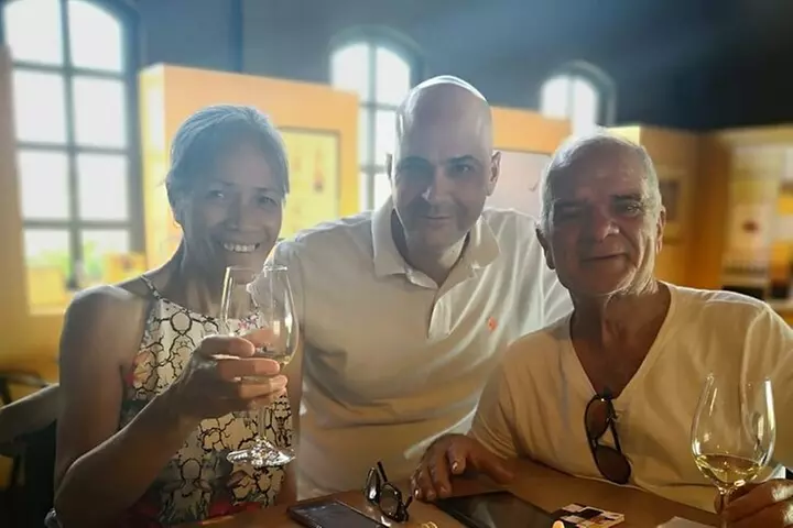 Región Vitivinícola de Requena : Excursión privada de medio día des...