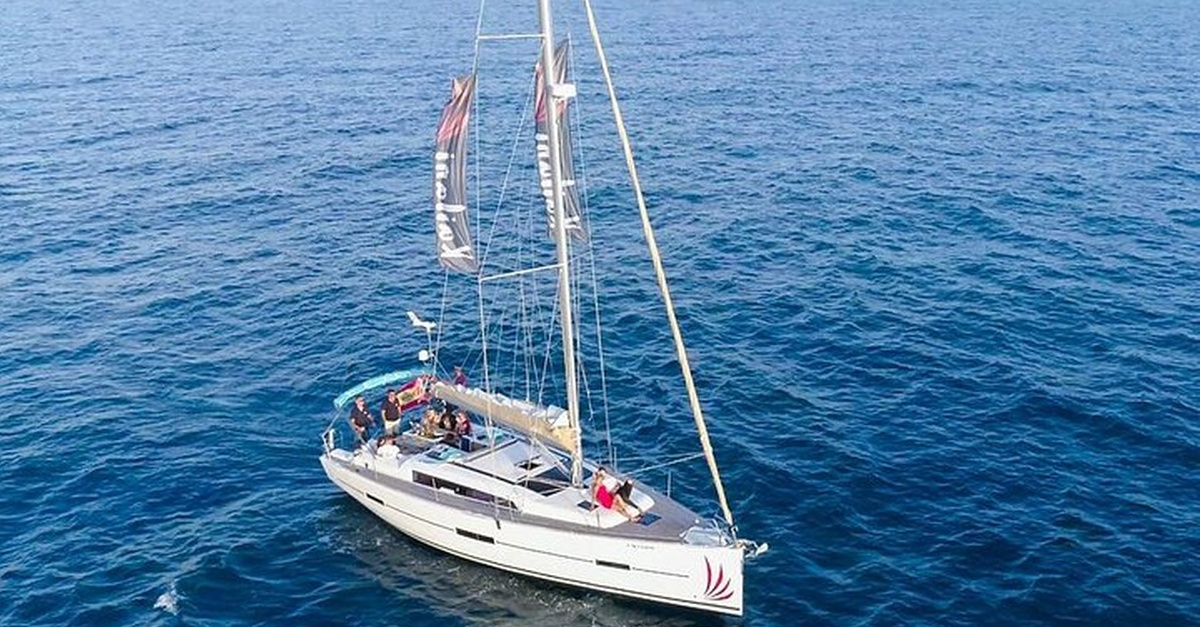 Chárter privado de avistamiento de ballenas y delfines en Tenerife