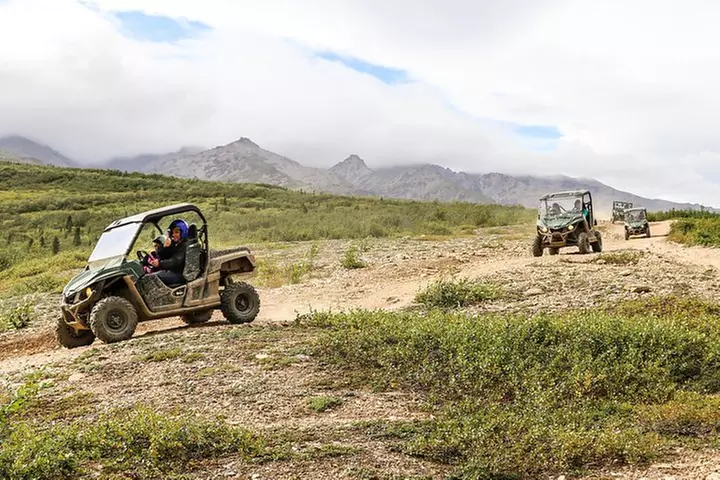 2.5-Hour Denali Wilderness ATV Adventure Tour