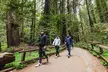 Muir Woods & Sausalito (Return by Bus or Ferry) - Second Medium