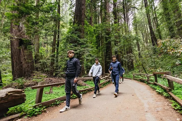 Muir Woods and Sausalito (Return by Bus or Ferry)