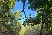 Florida Keys Kayak And Paddleboard Rentals - Second Medium