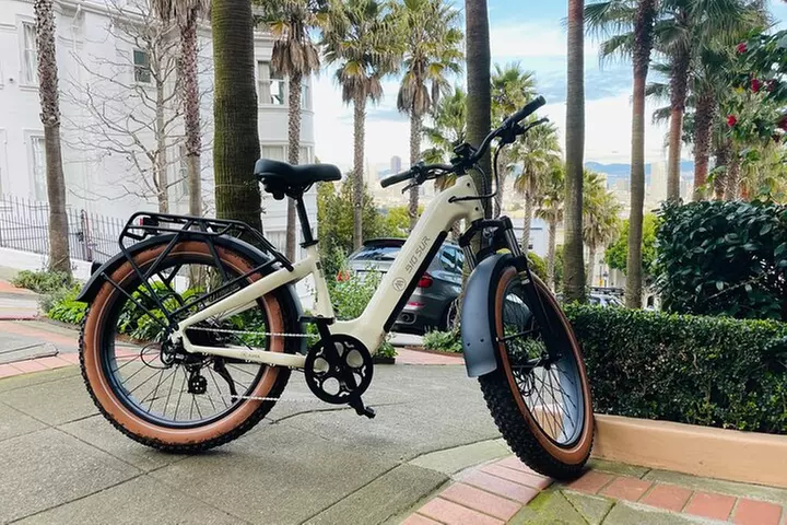 Summer of Love San Francisco Guided eBike Tour Golden Gate Park