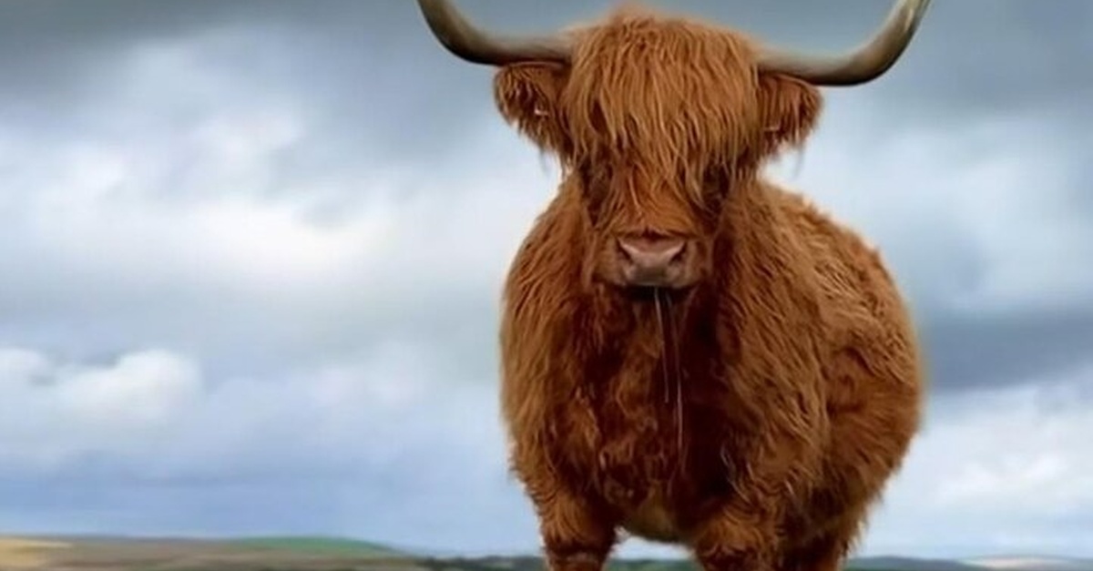 E2G Travel at Groupon