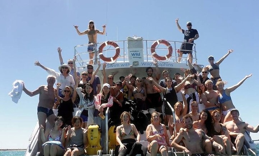 Image 7: Swim with Wild Dolphins Day Tour