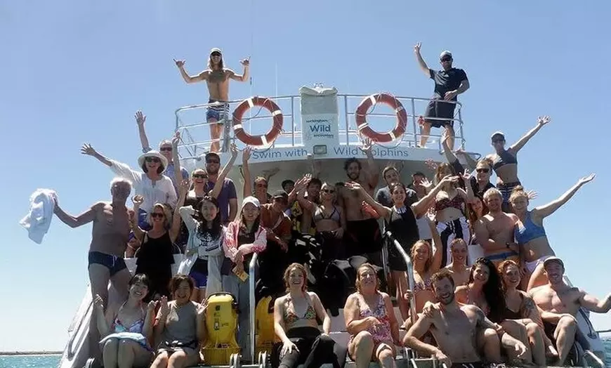 Image 7: Swim with Wild Dolphins Day Tour