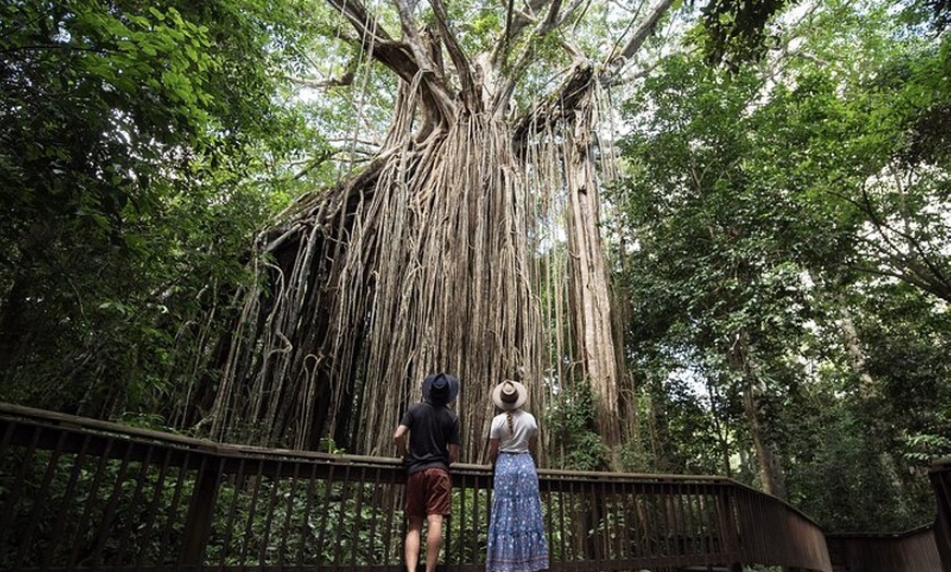 Image 26: 14 Day Tour from Sydney to Cairns Fraser Island and Whitsundays