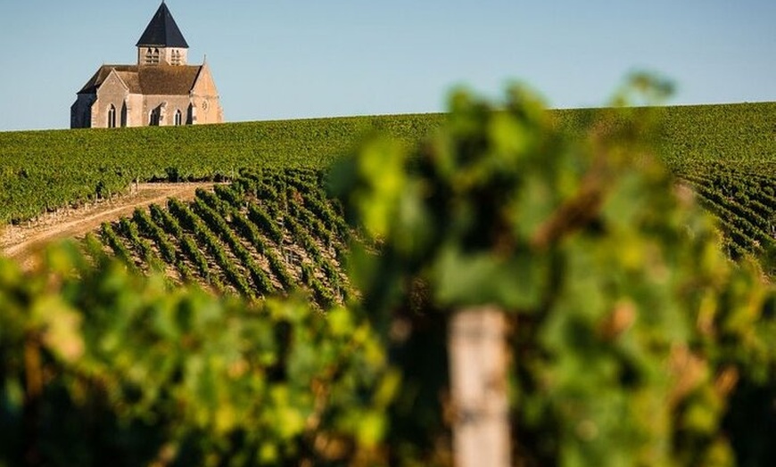 Image 6: Visite privée de dégustation de vins à Chablis Bourgogne au départ ...