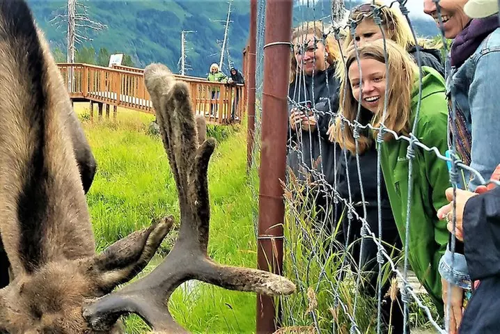 Wilderness, Wildlife, Glacier Experience from Anchorage