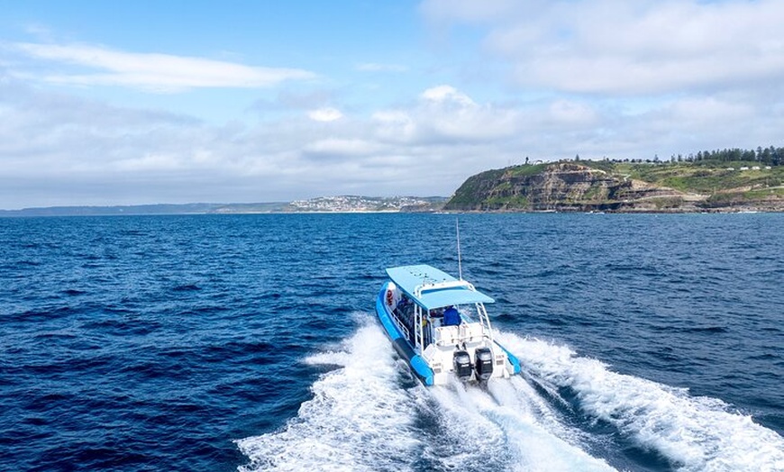 Image 9: Hunter Coastal Adventure Tour by Boat from Newcastle