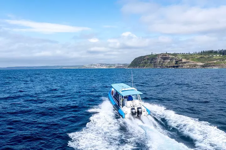 Hunter Coastal Adventure Tour by Boat from Newcastle