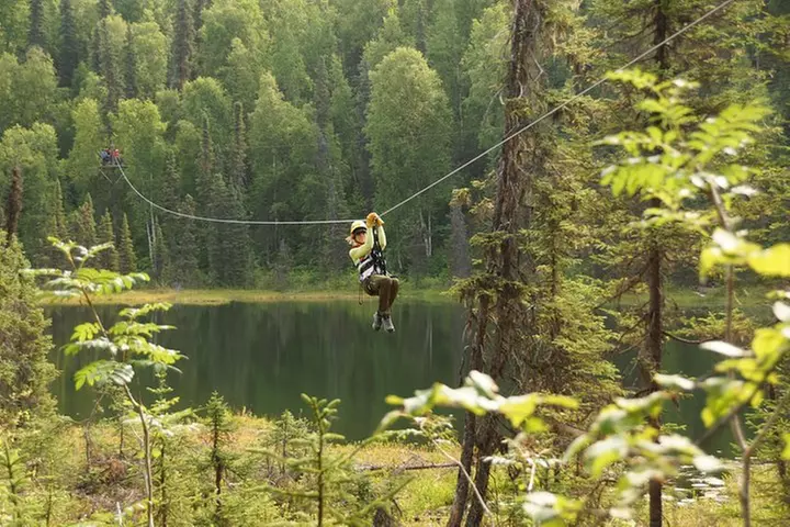 Denali Zipline Tour in Talkeetna, AK