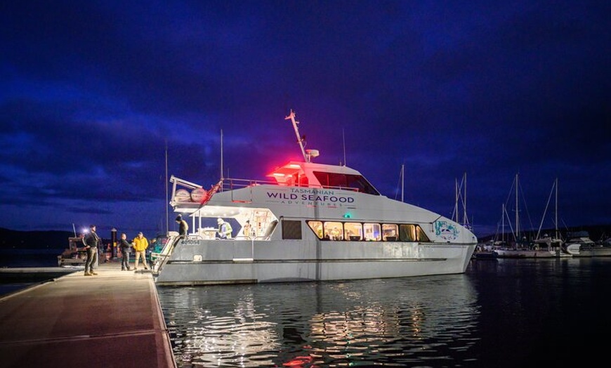Image 1: Sea to Sky Dark Sky Cruise Experience in Tasmania