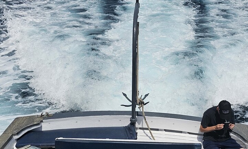 Image 47: Excursión de un día a Illetas en Formentera con Paella y Bebida