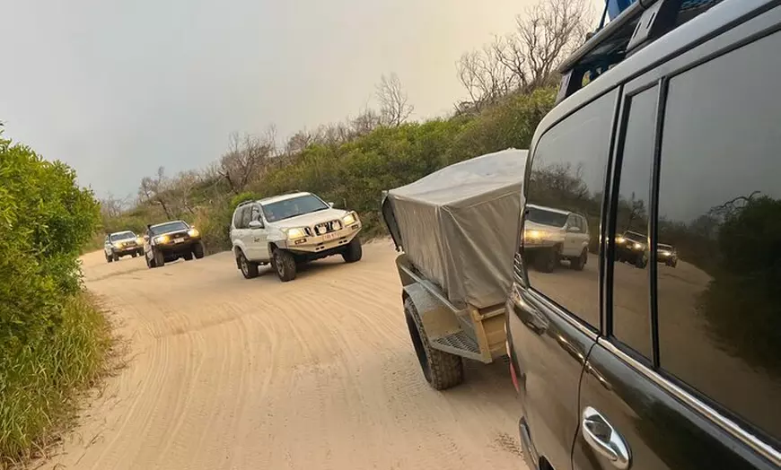 Image 29: Dingos 2 Day K'Gari (Fraser Island) 4WD Tag-Along Tour