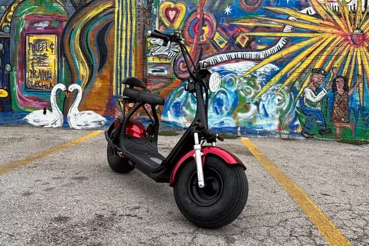 Fat Tire 2 Seater Rental in Dallas