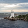 Image 3: Morning World Heritage Cruise on the Gordon River from Strahan