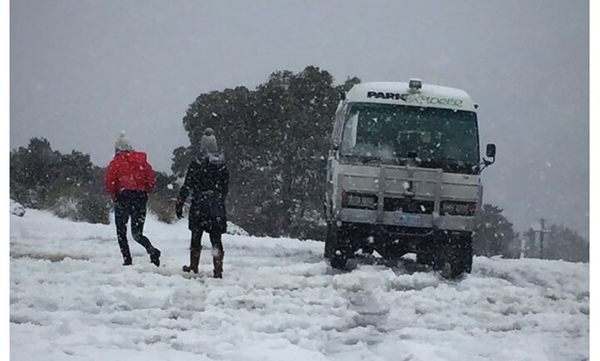 Image 6: Cradle Mountain Half Day Park Explorer Tour with Lunch