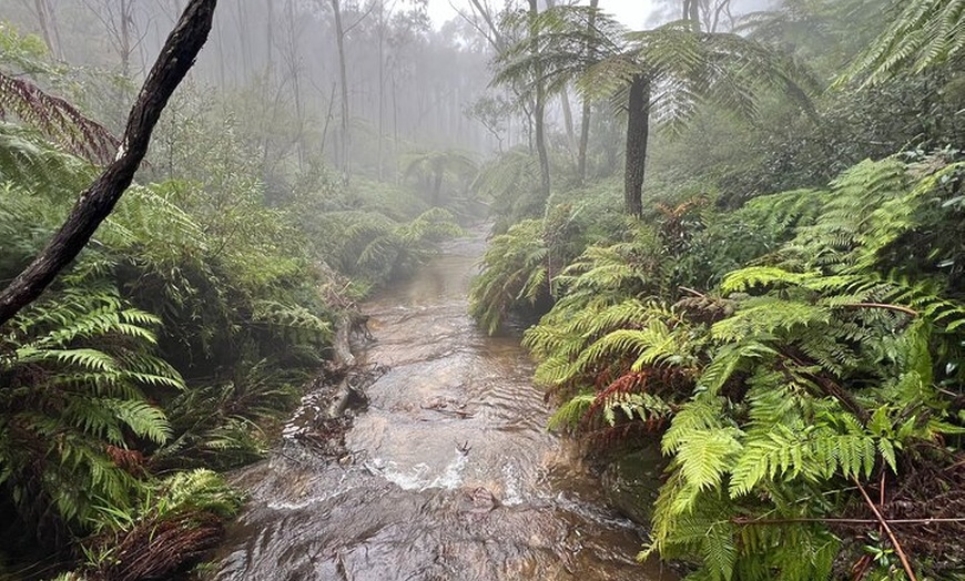 Image 3: Blue Mountains Private Group Day Tour from Sydney