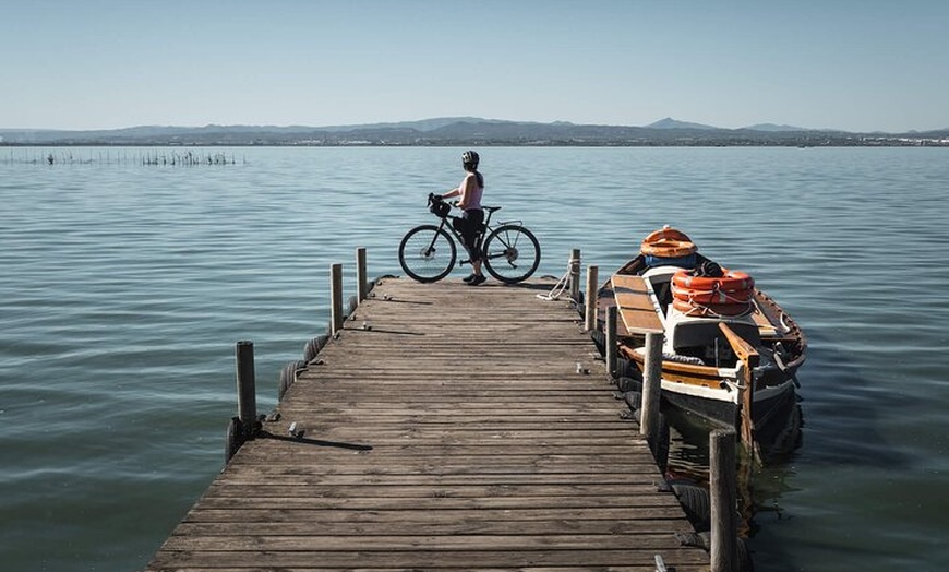 Image 1: Valencia: Camino a La Albufera Tour privado en bicicleta