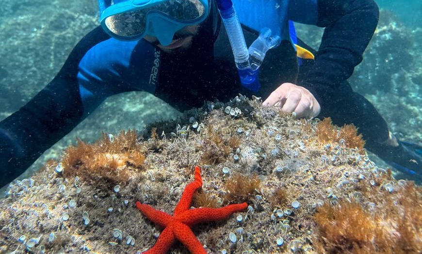 Image 5: Barcelona Wild Experience: Kayak y snorkel en Costa Brava