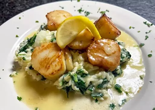 5% Cash Back at Porto Bella
