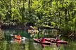 1-Day Silver Springs State Park Small Group Tour from Orlando - Second Medium