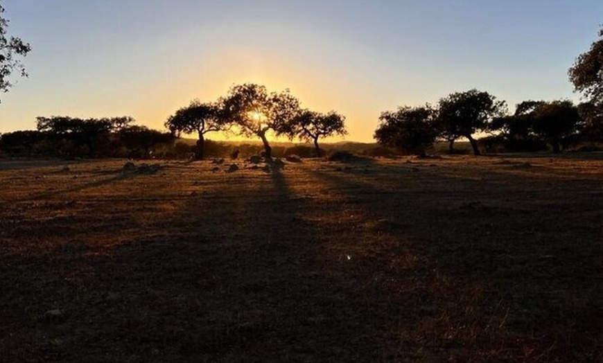 Image 4: Inmersión nocturna con interpretación del cielo y sonidos de la nat...