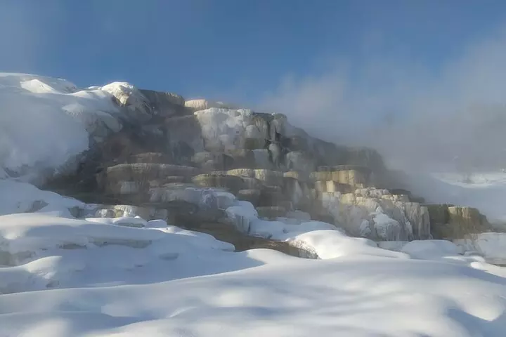 Yellowstone PRIVATE Winter SAFARI and Wolf Watching