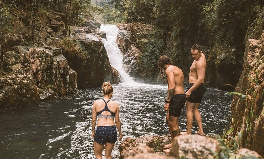 Image 2: Eungella Platypus Tour