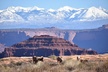Moab Combo: Colorado River Rafting and Canyonlands 4X4 Tour - Second Medium