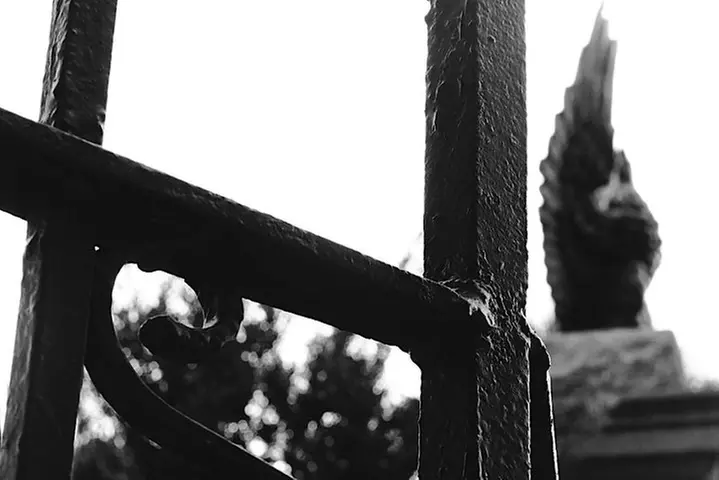 Genteel and Bard's Savannah Dark History and Ghost Encounter Walkin...