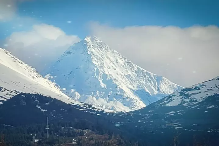 Wilderness, Wildlife, Glacier Experience from Anchorage