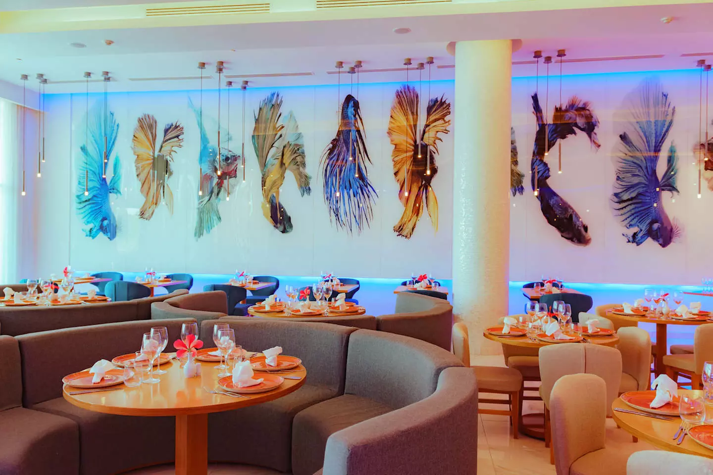 ✈ KUBA | Varadero - Selectum Family Resort Varadero 5*, 5 Nächte - ...